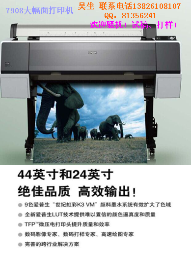 Epson 7980二手打印機