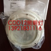 CDD12救生艇筏船艙內燈（12V15W）