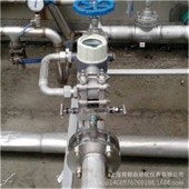 多參量v錐流量計 電池供電