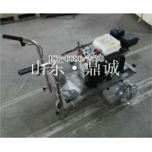 恩施手推式塑膠跑道劃線車 人造草坪球場(chǎng)標(biāo)線機(jī) 運(yùn)動(dòng)場(chǎng)地劃線