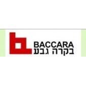 以色列BACCARA線圈