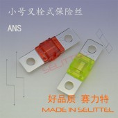 ANS圓孔螺栓式保險絲 電動車專用保險絲 小號叉栓保險絲