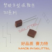 廠家供應 TE5系列392方形保險絲 膠殼保險絲 電源保險絲