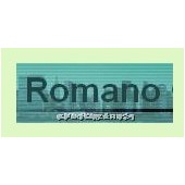 德國Romano傳感器