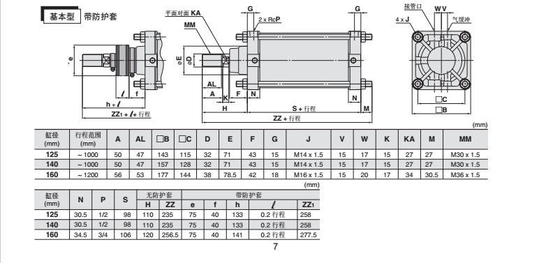 CDS2L160-15 (2)