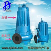 小型實用泵葉輪式泵防水泵噴泉專用泵湘潭泵廠