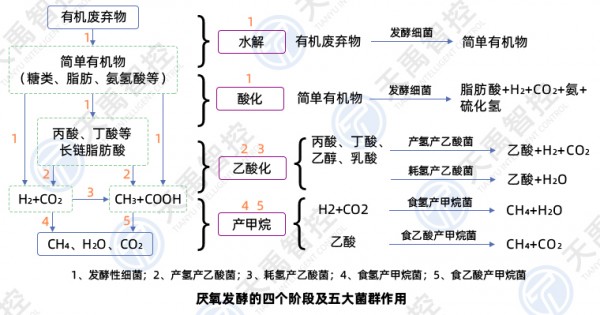 圖片1