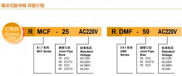 RYZDH淹沒式脈沖閥 